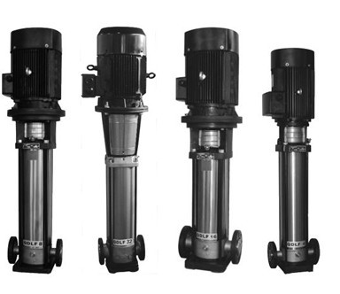 QDLF vertical multistage pump (SS304&SS316)
